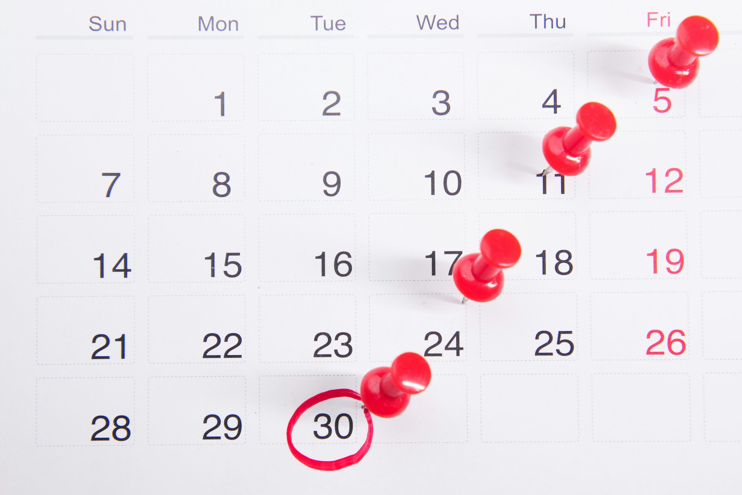 Calendário Acadêmico: seu GPS para uma vida sem perrengues