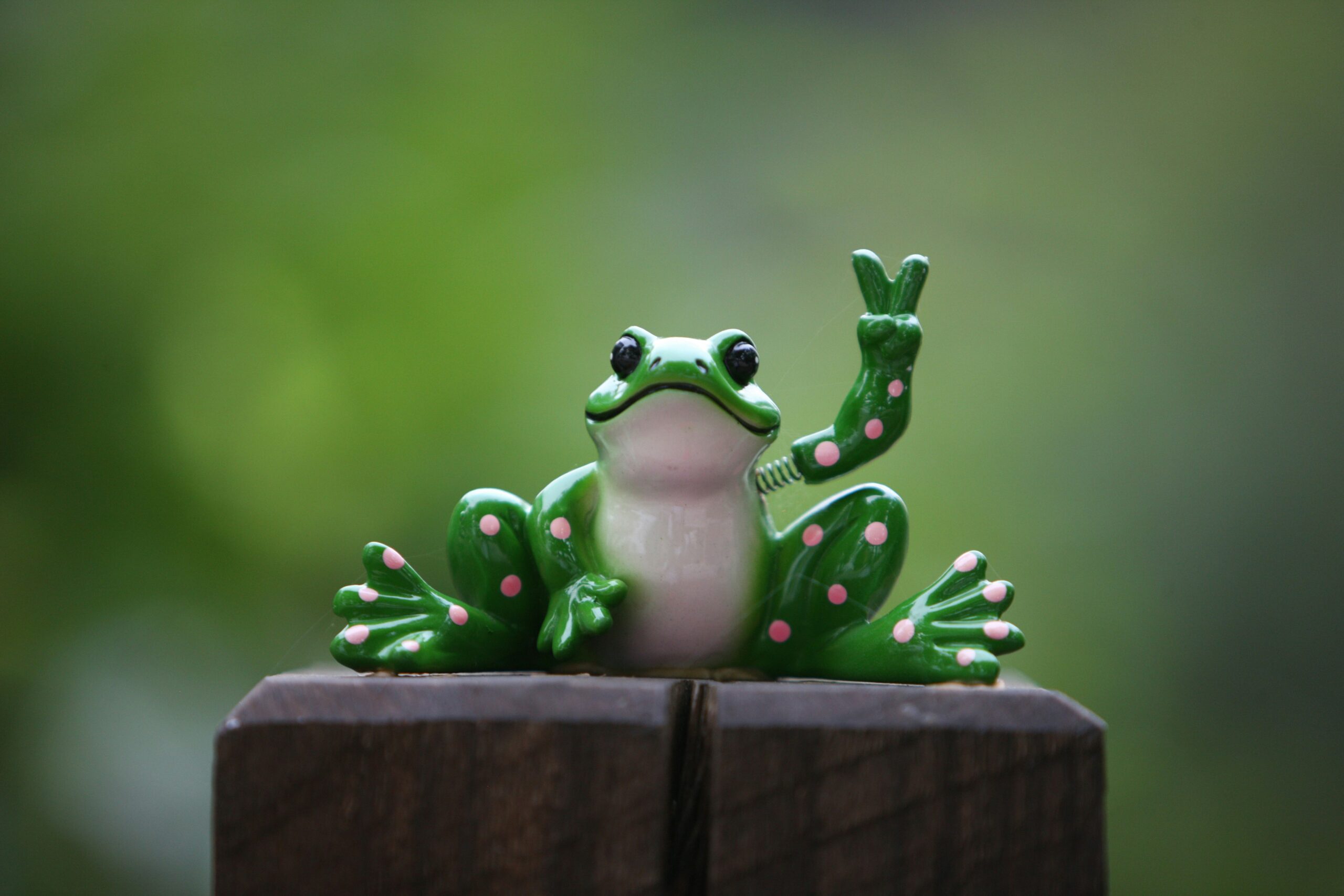 Eat the Frog! O truque simples que vai turbinar sua produtividade acadêmica