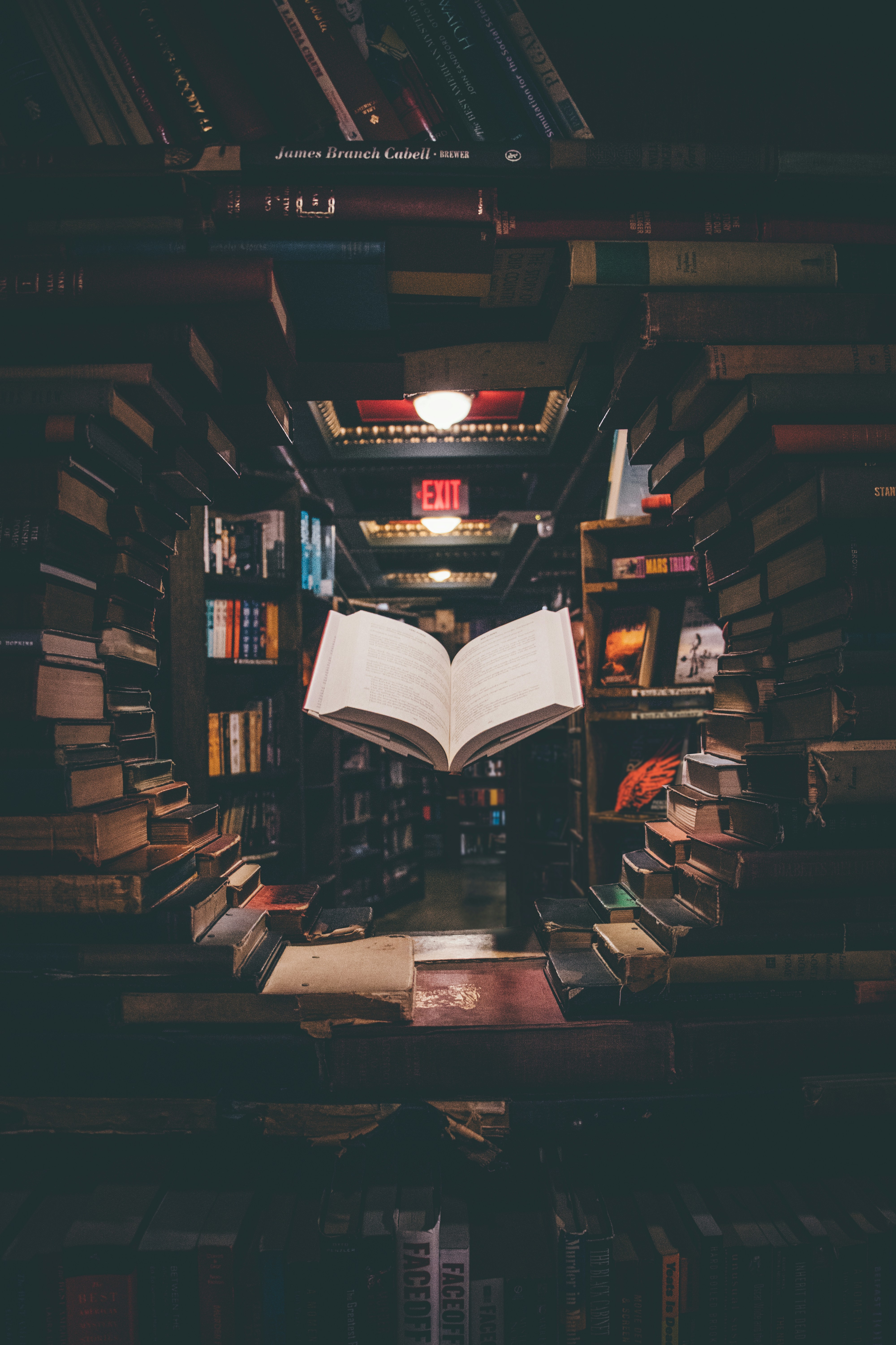 Portal de Livros Abertos da USP: conhecimento sem barreiras para todos